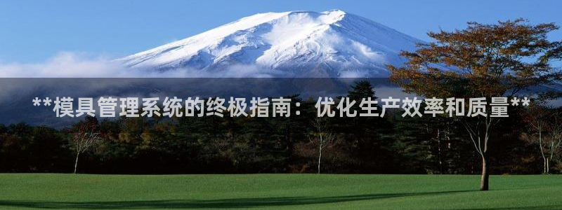 太阳集团娱乐场：**模具管理系统的终极指南：优化生产效率和质量**
