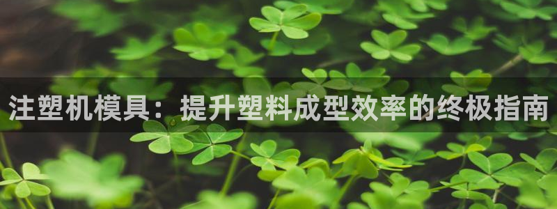 冷たい太阳：注塑机模具：提升塑料成型效率的终极指南