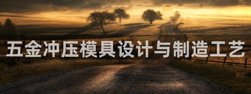 太阳成集团app下载：五金冲压模具设计与制造工艺