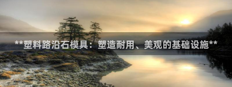 太阳影视公司：**塑料路沿石模具：塑造耐用、美观的基础设施**