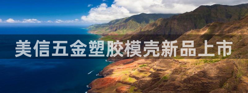 太阳电玩城下载：美信五金塑胶模壳新品上市