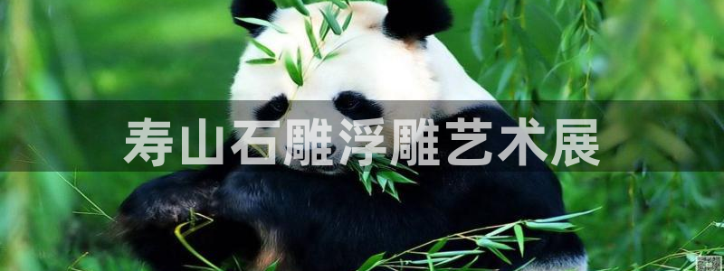 太阳集团董事长的儿子照片：寿山石雕浮雕艺术展