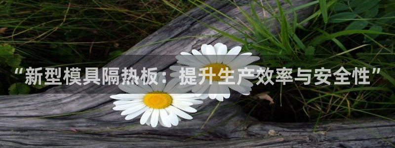 太阳集团股份有限公司官网：“新型模具隔热板：提升生产效率与安全性”