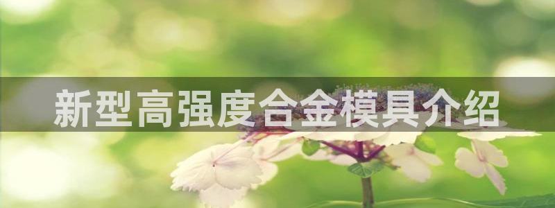 122cc太阳集成游戏：新型高强度合金模具介绍