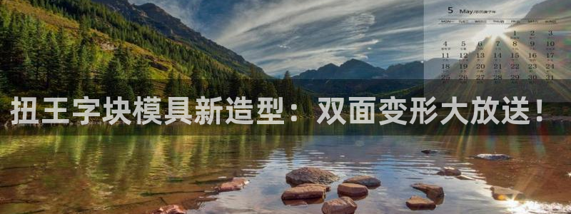 太阳成集团洗米华：扭王字块模具新造型：双面变形大放送！