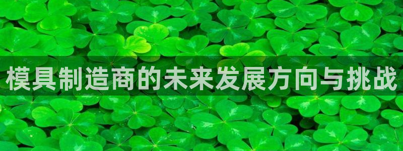 2018太阳集团游戏网站：模具制造商的未来发展方向与挑战