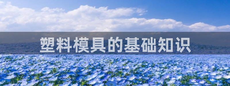 太阳集团贵宾网站：塑料模具的基础知识