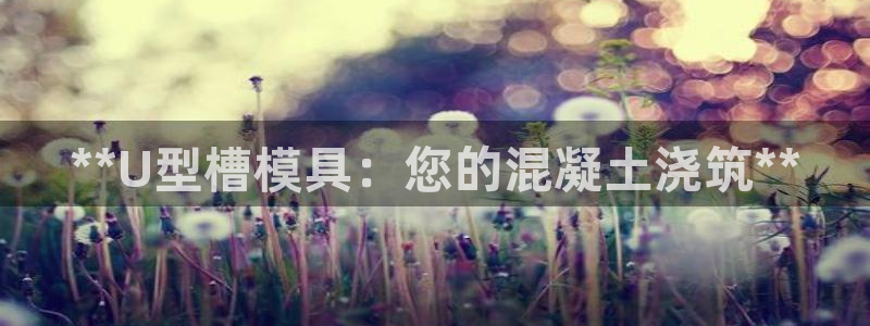 太阳集团是真的吗：**U型槽模具：您的混凝土浇筑**