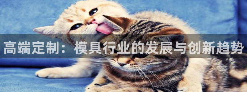 太阳集团股份有限公司：高端定制：模具行业的发展与创新趋势