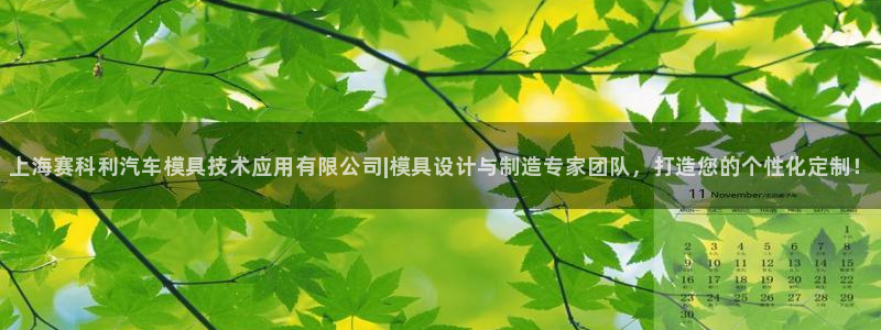 太阳集团游戏城(138)官方网址：上海赛科利汽车模具技术应用有限公司|模具设计与制造专家团队，打造您的个性化定制！