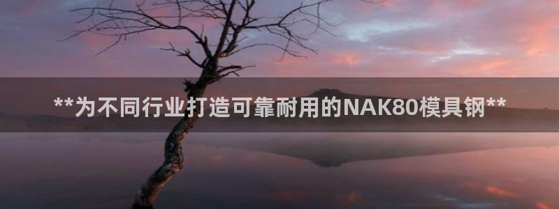 太阳集团网投：**为不同行业打造可靠耐用的NAK80模具钢**