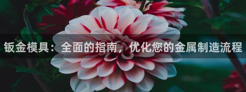 太阳集团2018登录网址查询：钣金模具：全面的指南，优化您的金属制造流程