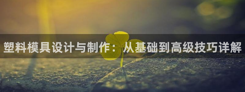 太阳成集团tyc33455cc官网：塑料模具设计与制作：从基础到高级技巧详解