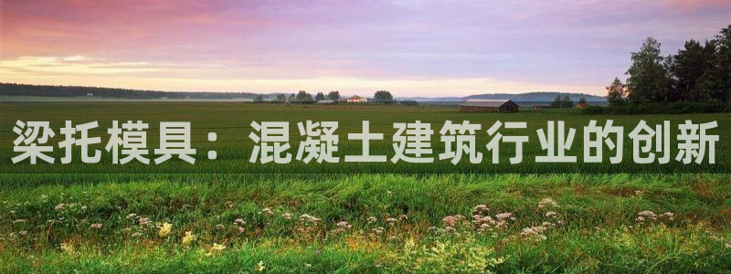 太阳集团官网：梁托模具：混凝土建筑行业的创新