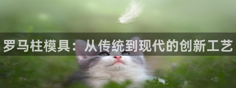 澳门太阳游戏城：罗马柱模具：从传统到现代的创新工艺