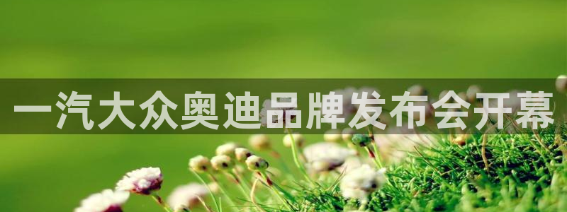 太阳集团公司董事长：一汽大众奥迪品牌发布会开幕
