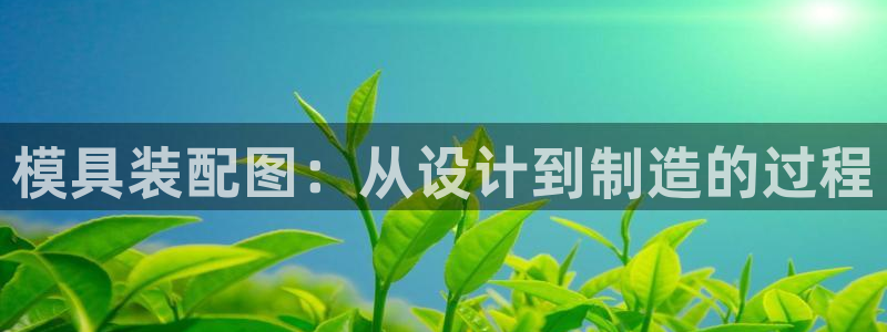 太阳成集团app：模具装配图：从设计到制造的过程