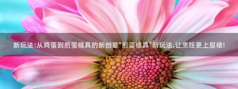 太阳集团古天乐代言：新玩法:从鸡蛋到煎蛋模具的新创意\