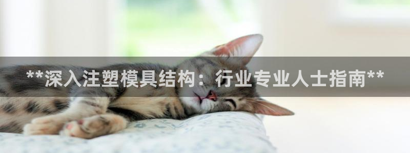 太阳集团城2017：**深入注塑模具结构：行业专业人士指南**