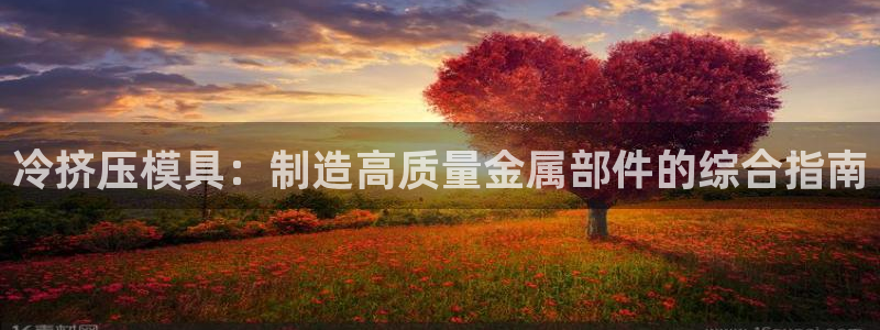 太阳集团网址首页：冷挤压模具：制造高质量金属部件的综合指南