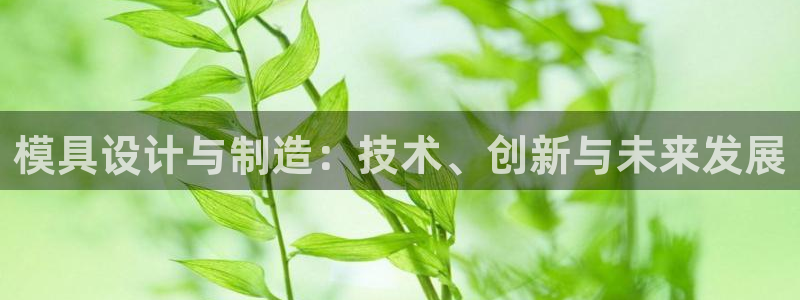 太阳集团3143：模具设计与制造：技术、创新与未来发展