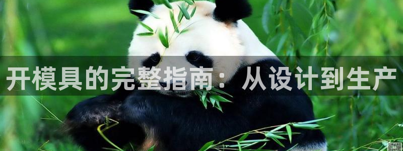太阳集团股份有限公司招聘：开模具的完整指南：从设计到生产