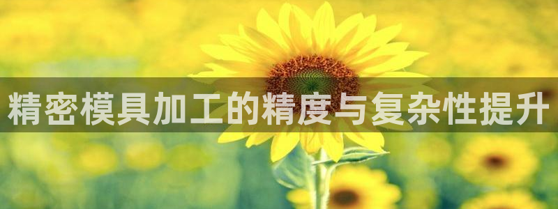 太阳集团网站5017：精密模具加工的精度与复杂性提升