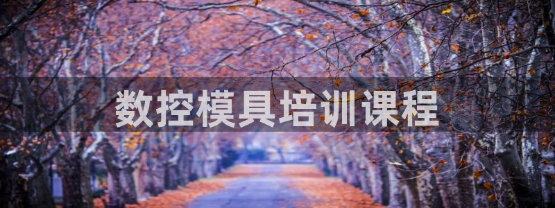 奥门太阳集团城：数控模具培训课程