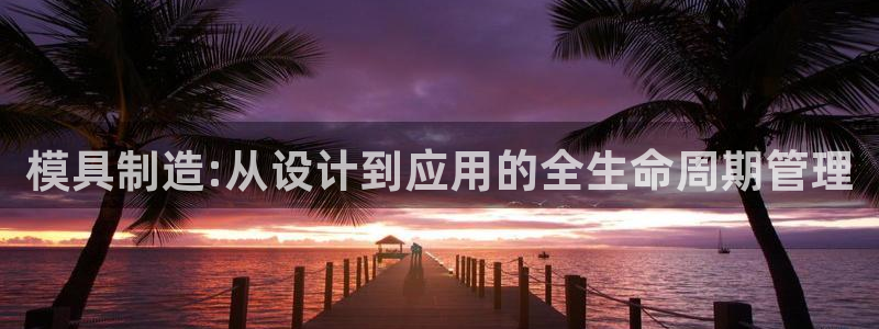 太阳集团游戏官网：模具制造:从设计到应用的全生命周期管理