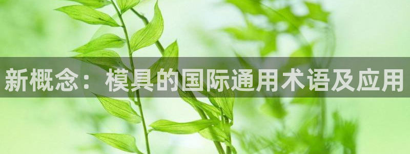 太阳集团是一家什么公司：新概念：模具的国际通用术语及应用