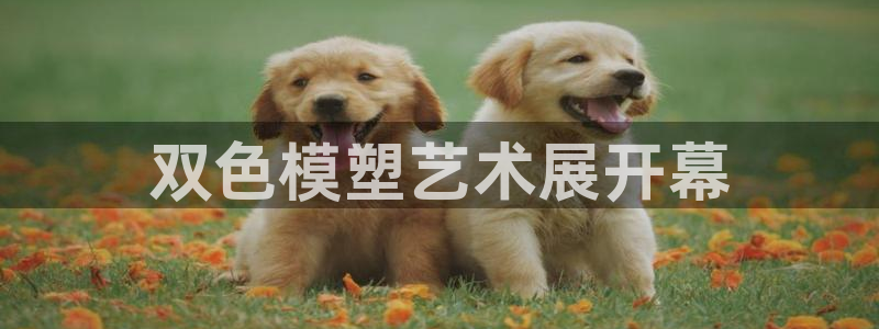太阳集团城网址古天乐：双色模塑艺术展开幕