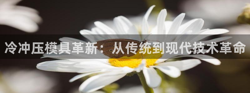 太阳成集团游戏是正规平台嚒：冷冲压模具革新：从传统到现代技术革命