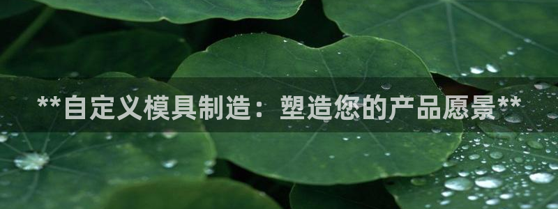 太阳集团2007：**自定义模具制造：塑造您的产品愿景**