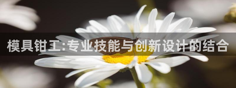 太阳集团所有网址16877：模具钳工:专业技能与创新设计的结合
