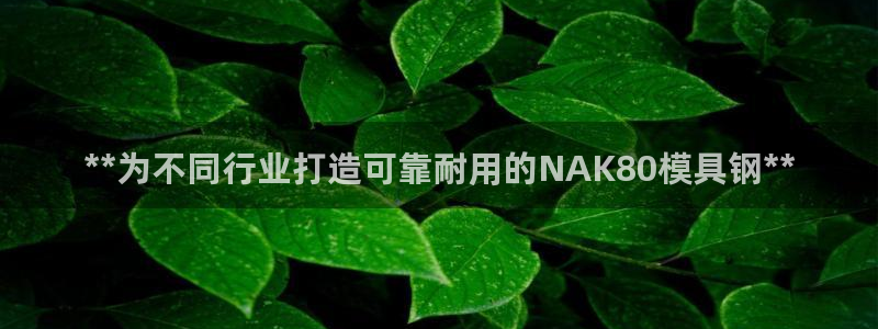 曲靖红太阳集团：**为不同行业打造可靠耐用的NAK80模具钢**