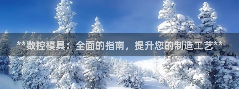 太阳集团董事长的儿子照片：**数控模具：全面的指南，提升您的制造工艺**
