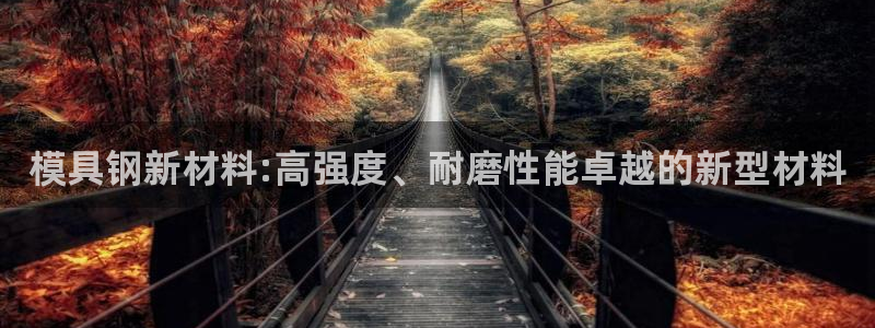 太阳老板是谁：模具钢新材料:高强度、耐磨性能卓越的新型材料