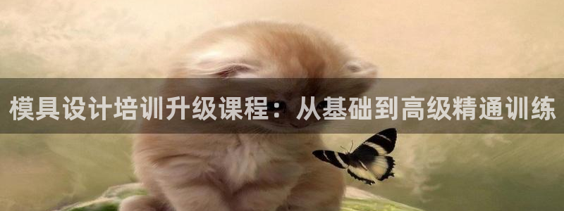 太阳集团在国内三个分公司