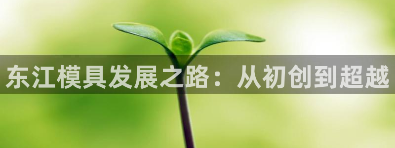 太阳app网页版：东江模具发展之路：从初创到超越