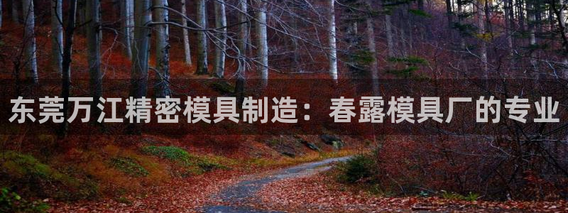 太阳集团app：东莞万江精密模具制造：春露模具厂的专业