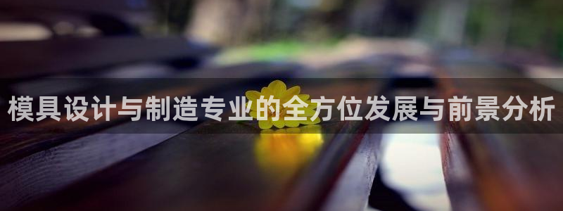 太阳gg平台注册：模具设计与制造专业的全方位发展与前景分析