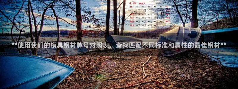 太阳集团贵宾网站：**使用我们的模具钢材牌号对照表，查找匹配不同标准和属性的最佳钢材**