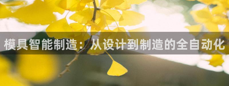 太阳科技集团：模具智能制造：从设计到制造的全自动化