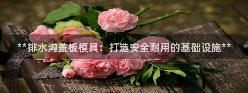 太阳成集团不能提现：**排水沟盖板模具：打造安全耐用的基础设施**