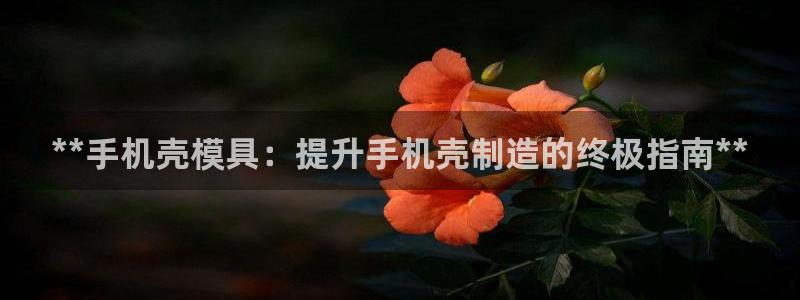 太阳集团注册：**手机壳模具：提升手机壳制造的终极指南**