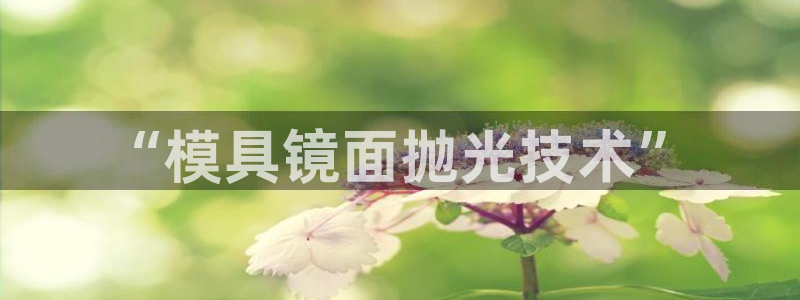 太阳成集团视频：“模具镜面抛光技术”