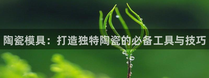 太阳成集团tyc234cc主页网站：陶瓷模具：打造独特陶瓷的必备工具与技巧