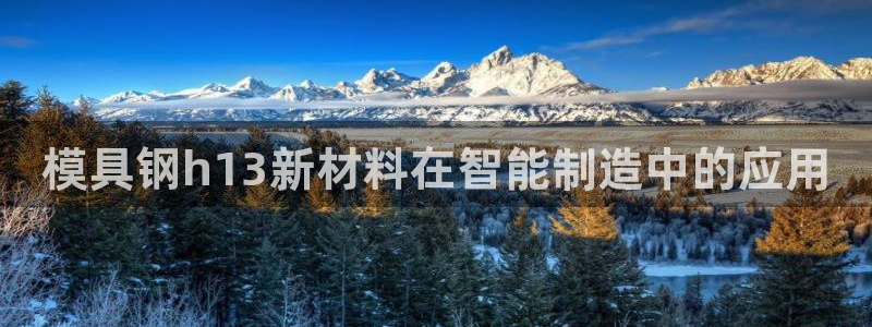 2007so太阳集团下载：模具钢h13新材料在智能制造中的应用