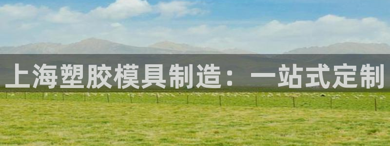 太阳成集团游戏合集：上海塑胶模具制造：一站式定制