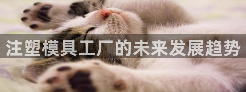古天乐代言的太阳集团城网址：注塑模具工厂的未来发展趋势